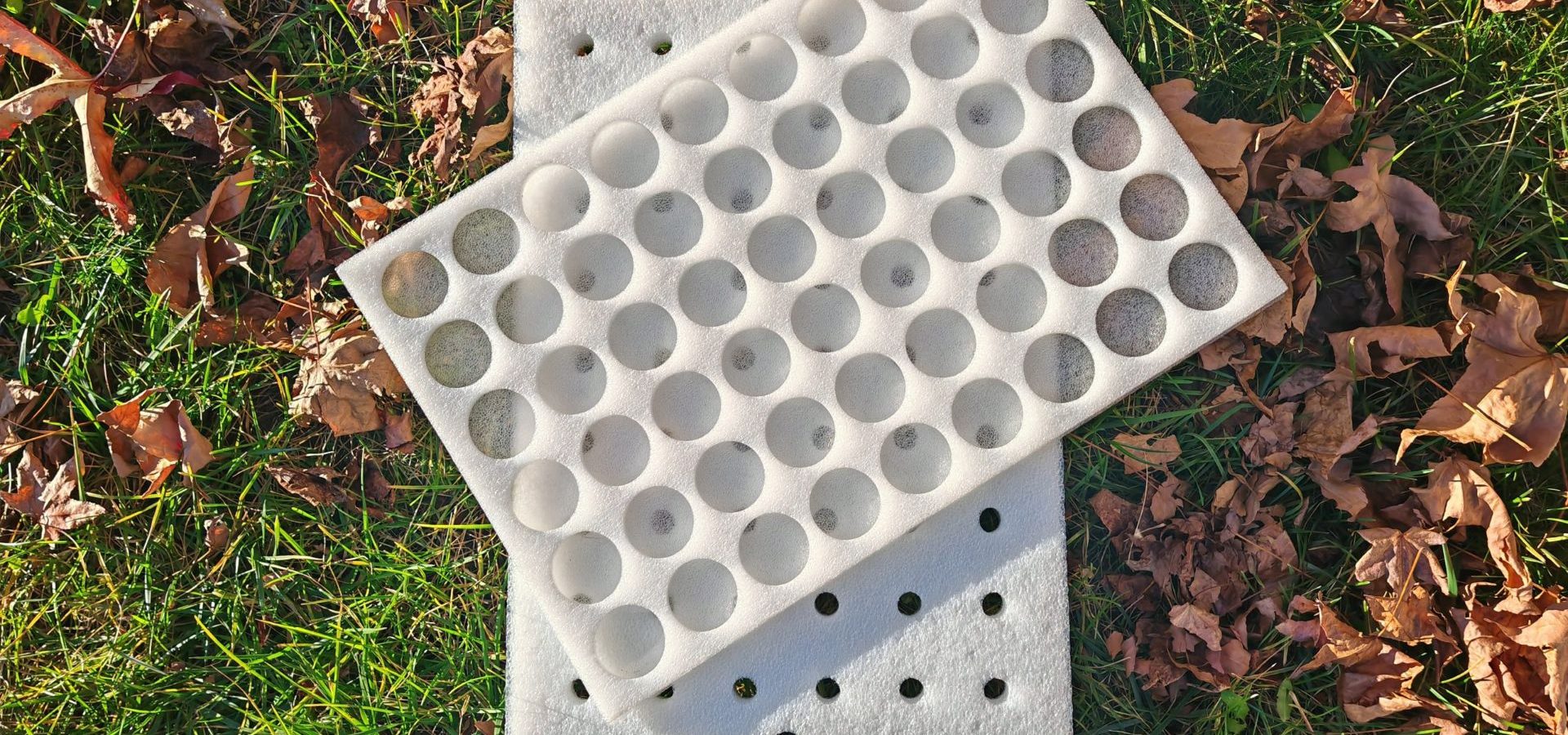 2024 – Packaging ecodesign